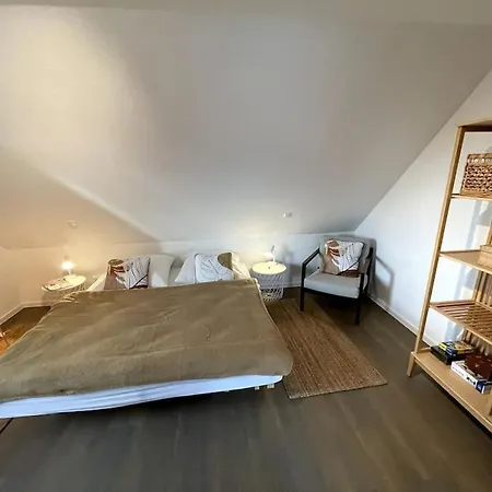 Steuerbord Nock Mit Hund Ferienhaus