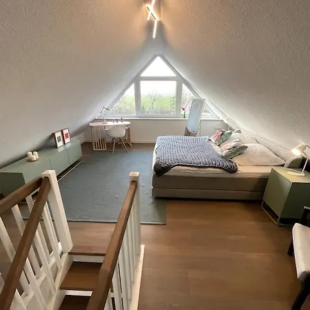 Steuerbord Nock Mit Hund * Schillig