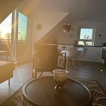 Steuerbord Nock Mit Hund シリヒ