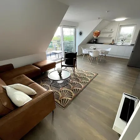 Steuerbord Nock Mit Hund