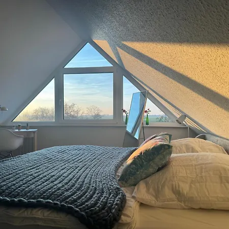 Steuerbord Nock Mit Hund