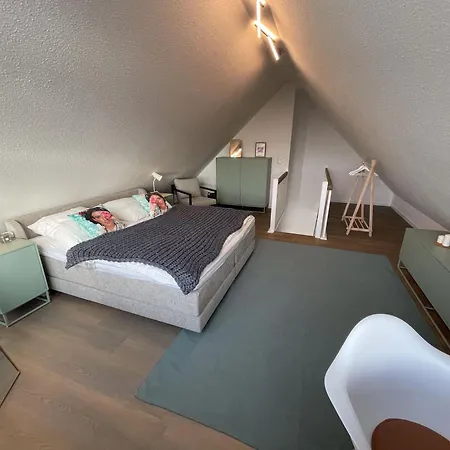 Steuerbord Nock Mit Hund