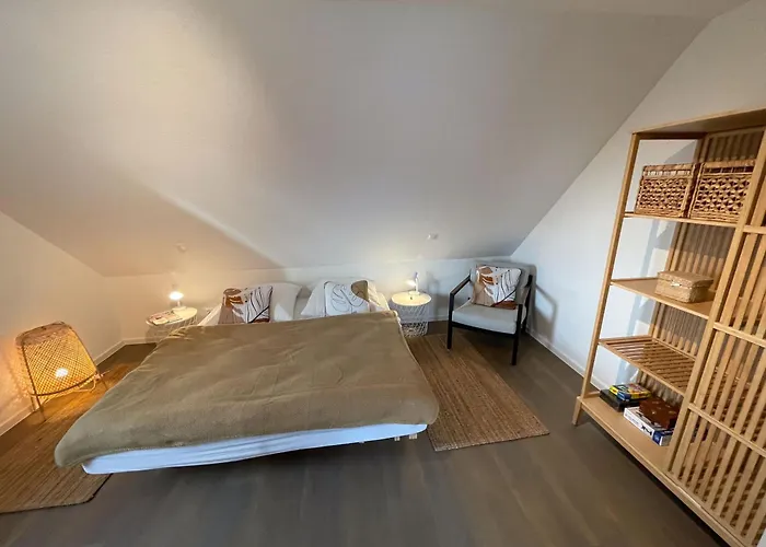 Steuerbord Nock Mit Hund Tatil Evi