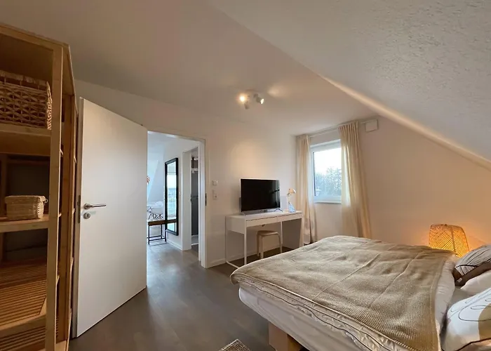 Steuerbord Nock Mit Hund Tatil Evi Schillig